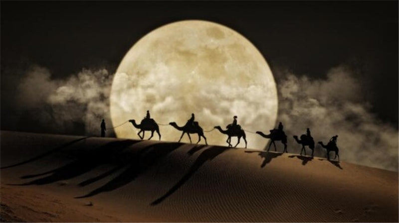 Desert Moon Night canvas Wall Art
