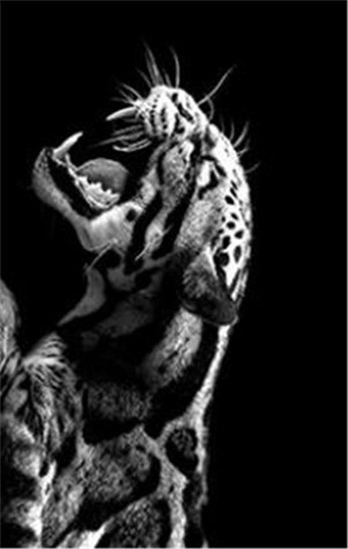 Black And White  Tiger Wall Canvas art