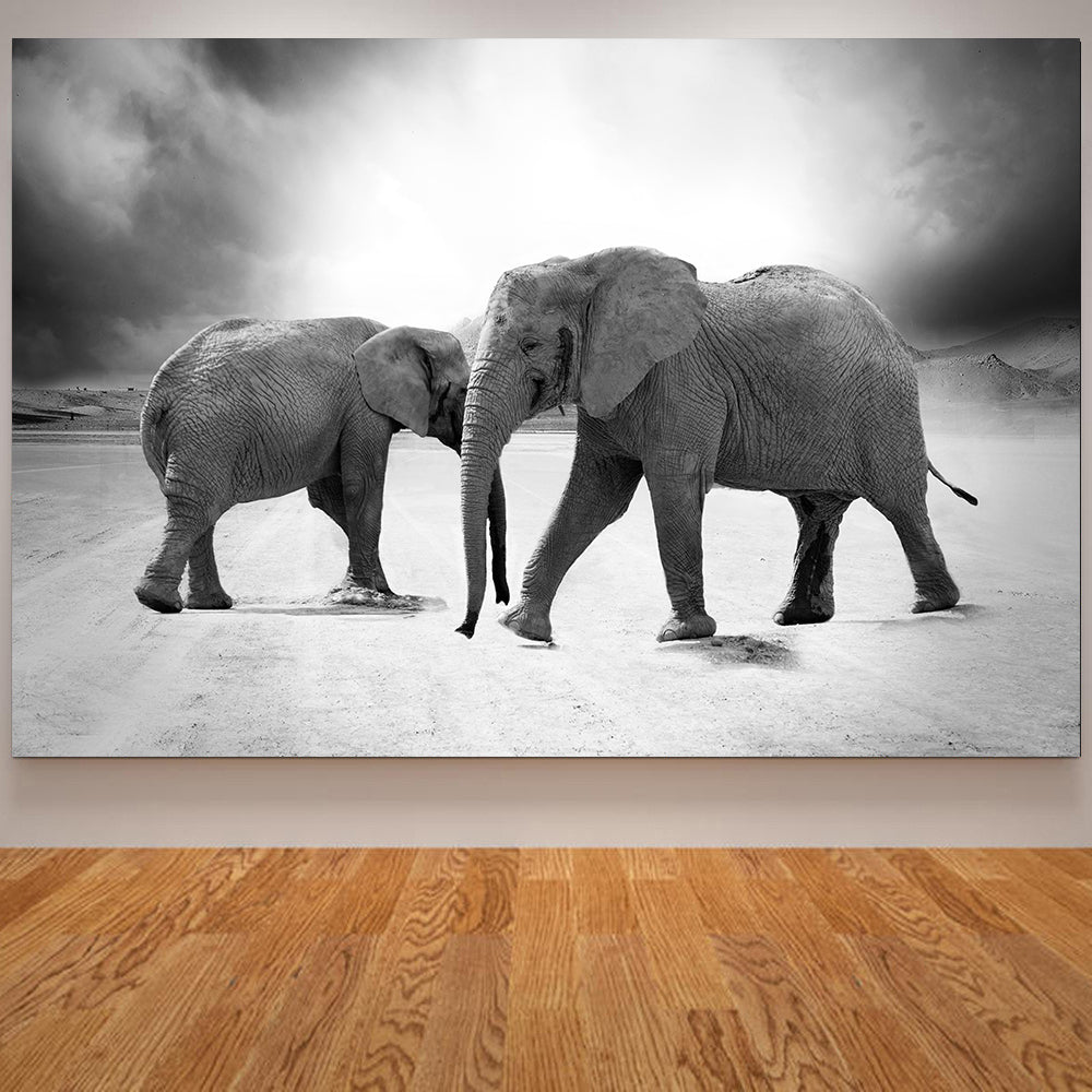 Elephant Black And White Canvas wall art