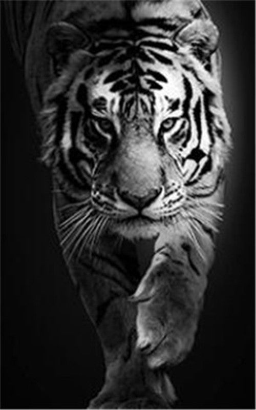 Black And White  Tiger Wall Canvas art