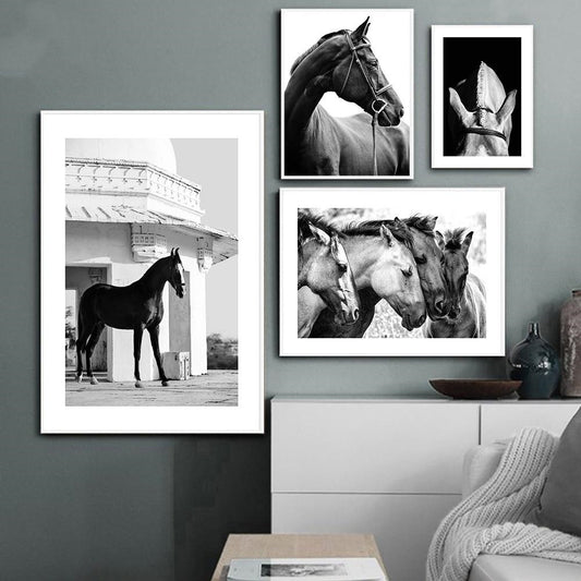 Black And White Animal Horse Canvas wall art