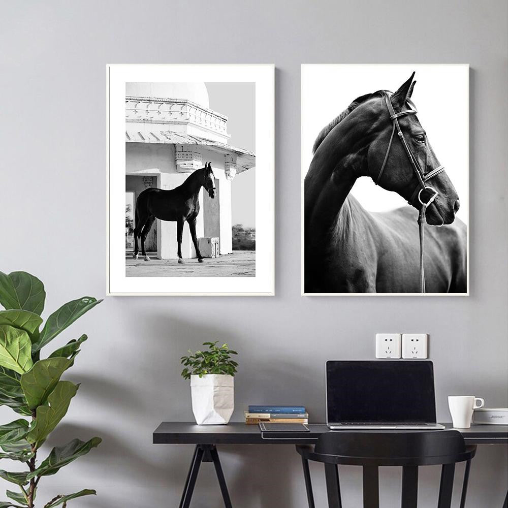 Black And White Animal Horse Canvas wall art