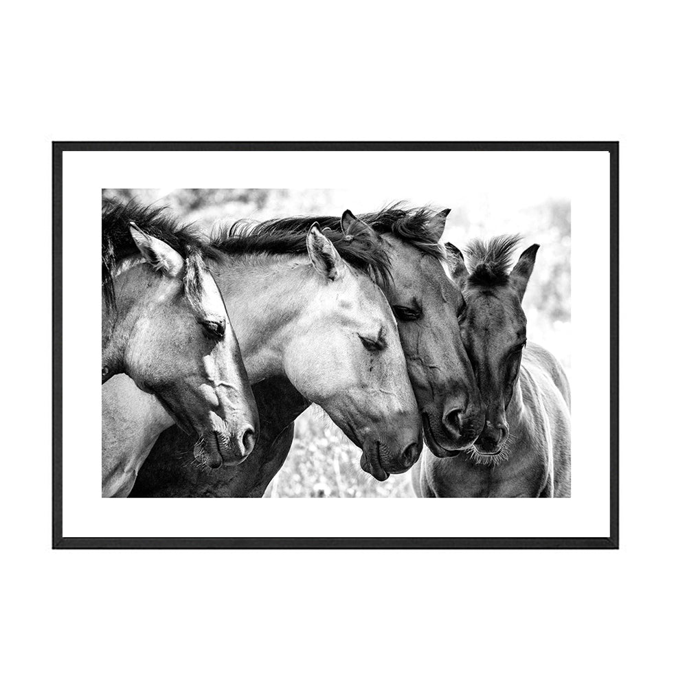 Black And White Animal Horse Canvas wall art